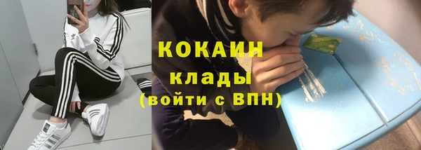молекула духа Арсеньев