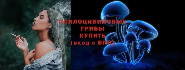 молекула духа Арсеньев