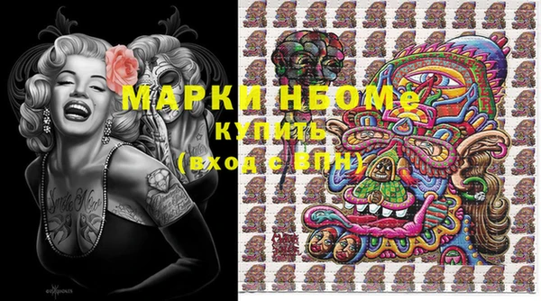 молекула духа Арсеньев