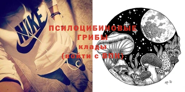 молекула духа Арсеньев
