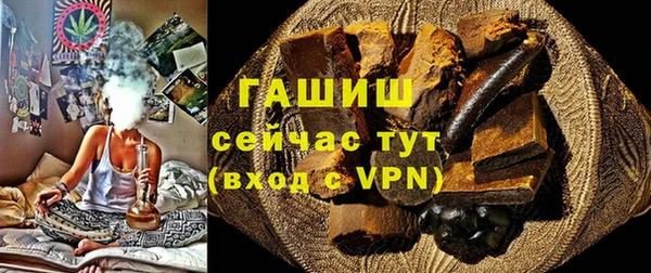 молекула духа Арсеньев