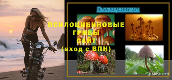молекула духа Арсеньев