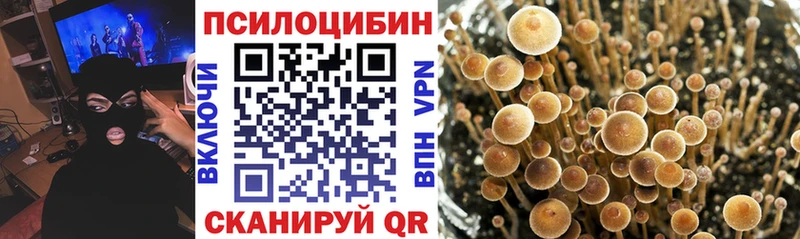Галлюциногенные грибы Cubensis  Павлово 