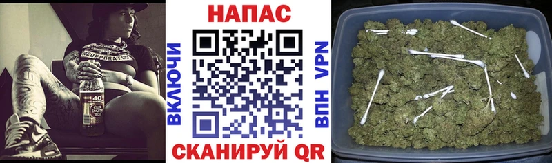 магазин    это какой сайт  Бошки марихуана планчик  Павлово 